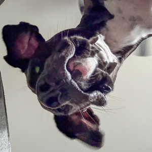 Fundraising Page: Keith Shocker